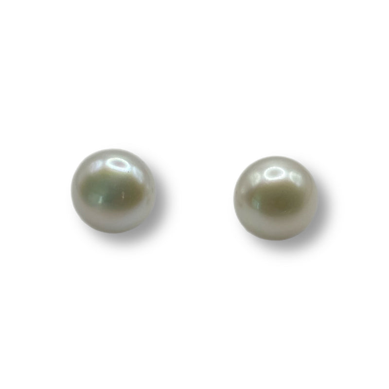 XL Pearl Button Studs