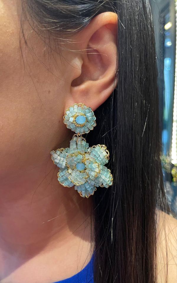 Blossom Rosas Mini