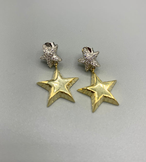 2-Star Drop Earrings